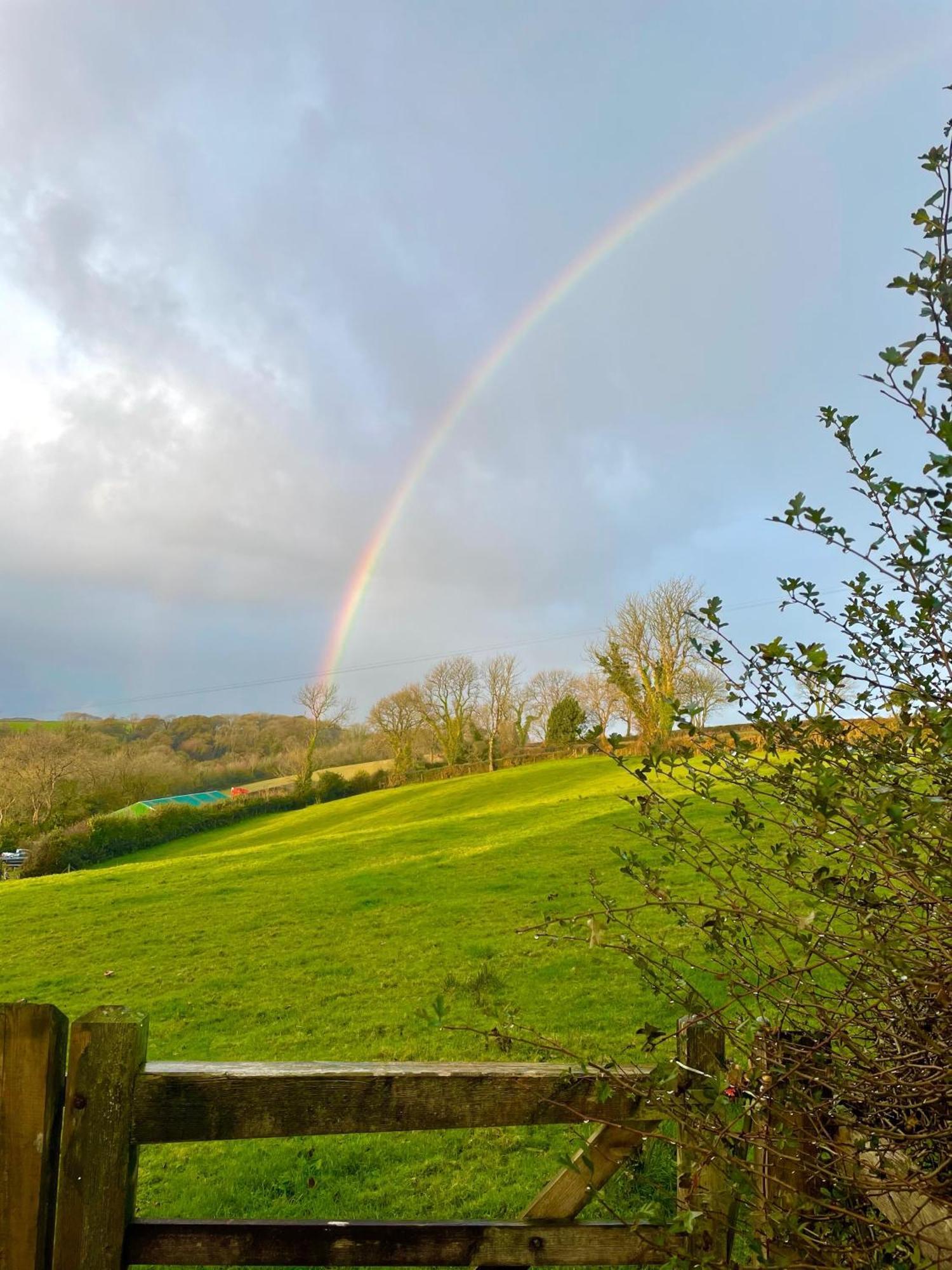 Stable Cottage Narberth Εξωτερικό φωτογραφία